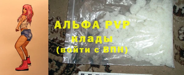 индика Мегион