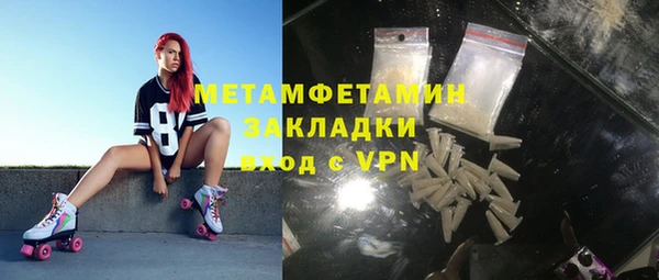 индика Мегион