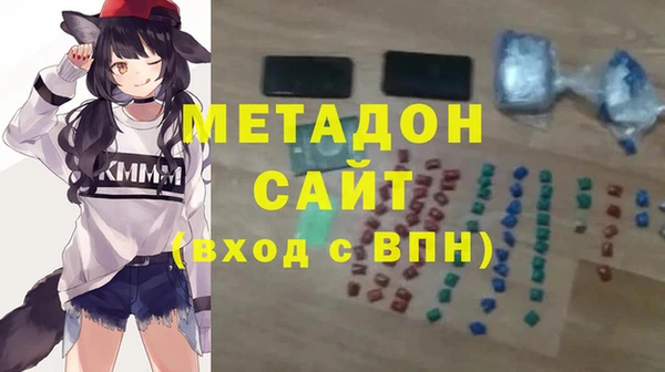 индика Мегион
