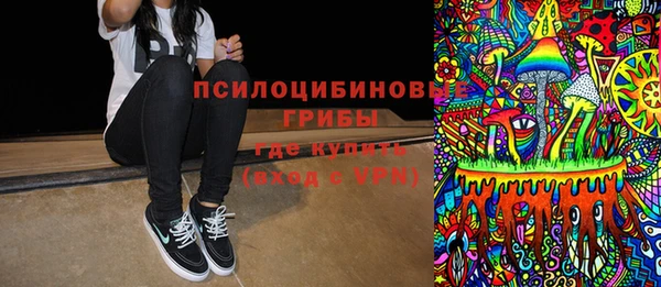 индика Мегион