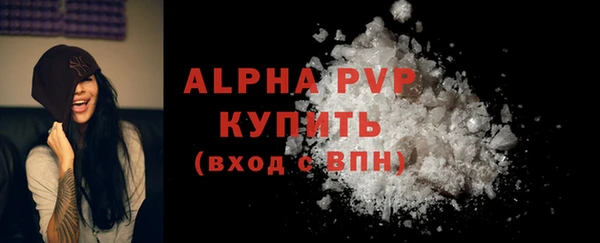 индика Мегион
