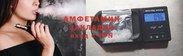 индика Мегион