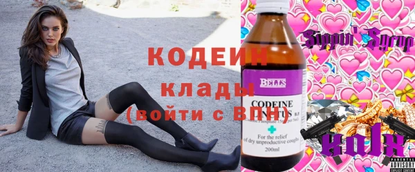 индика Мегион