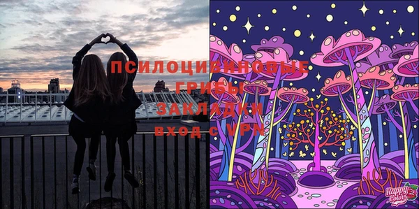 ECSTASY Медвежьегорск