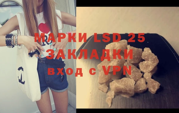 индика Мегион