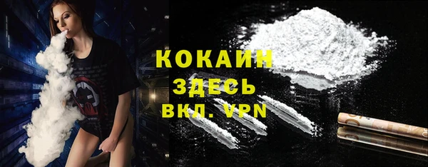индика Мегион