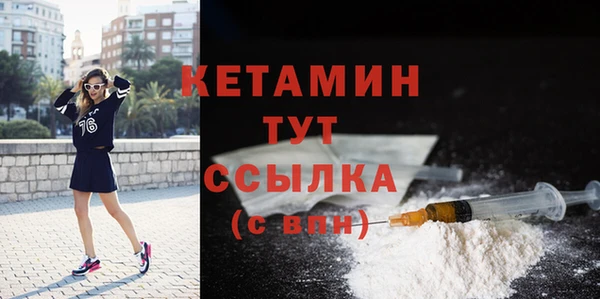 индика Мегион